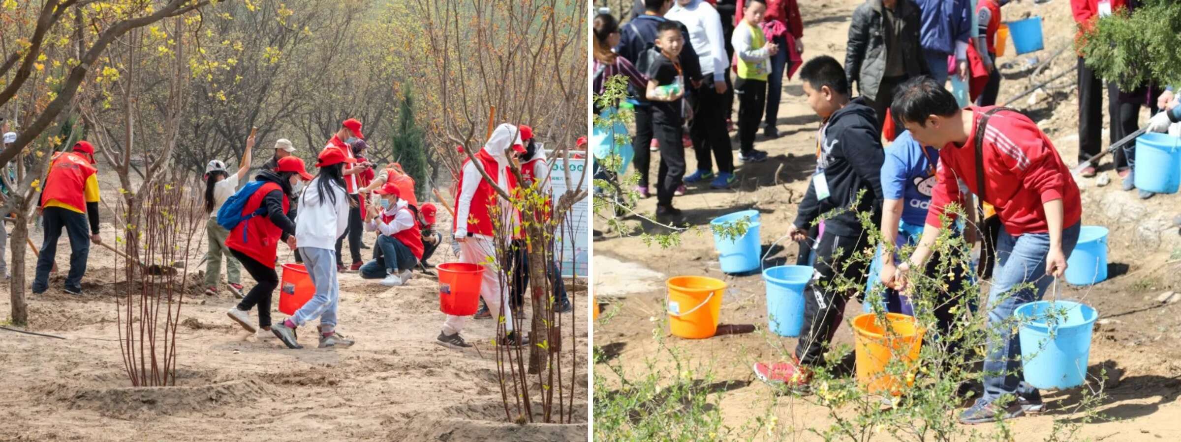众宏拓展植树活动 (4).jpg