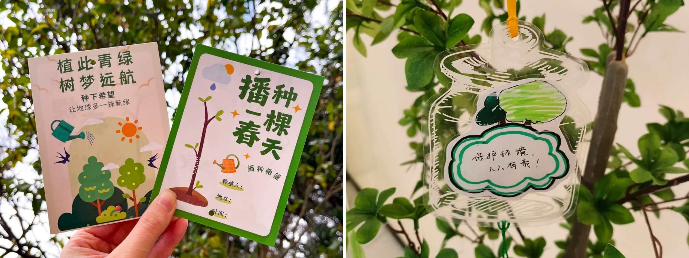 众宏拓展植树活动 (15).jpg