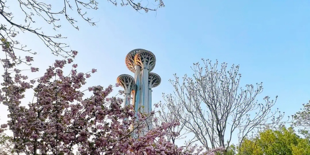 15众宏拓展奥森公园团建.jpg