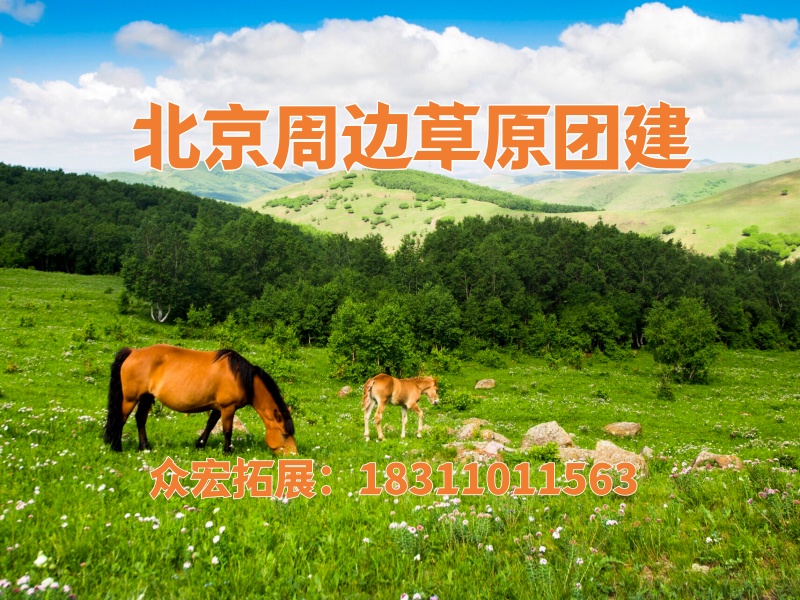 北京团建好去处/北京周边草原团建